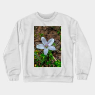 Woodland Wildflower Crewneck Sweatshirt